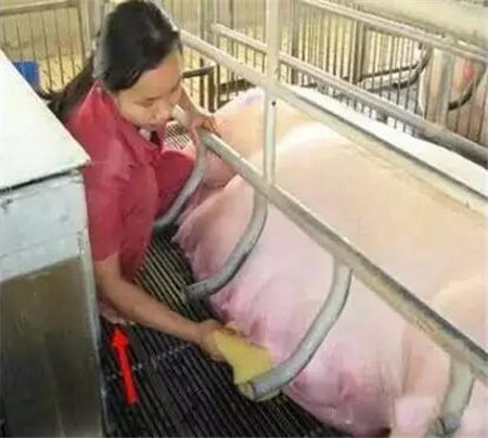 环境税的问题，对农村零售猪的影响吗?未来的零售渠道的发展?