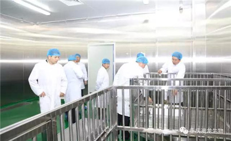 2017年10月18-19日，农业部GMP专家组一行3人在重庆市农委、荣昌区畜牧局相关领导的陪同下，对重庆澳龙生物制品有限公司新建的灭活疫苗车间进行了现场检查验收。