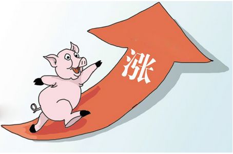江西生猪价连涨3月，头均利润环比升139.21%