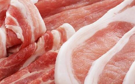  猪从日粮摄入的脂肪几乎不经多大的变化就直接转化为肌间脂肪和背脂。