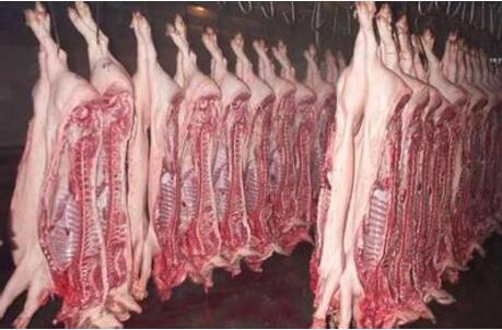 今年进口猪肉将有120万吨，相当于960万头猪，这样庞大规模的进口量，证明，国内的消费水平还是跟的上，有需求就是跟进，