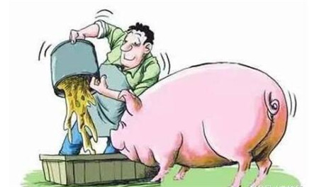 猪吃料少的原因找到了，该如何解决呢？