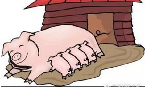 我们预计11月中下旬开始，最迟12月中旬开始猪价涨幅将略显明显，此波猪价上涨预计将持续到2018年1月中下旬。