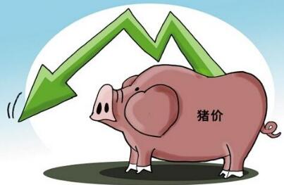 猪价涨幅有再度扩大趋势！大涨将来临？