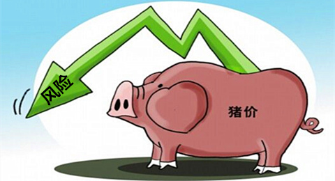 猪价今日涨幅0.03元，警惕与利好并存