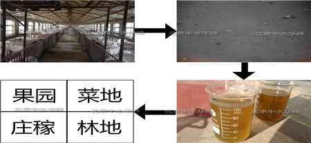 北京中水华峰猪场除臭和粪污水“0”排放技术
