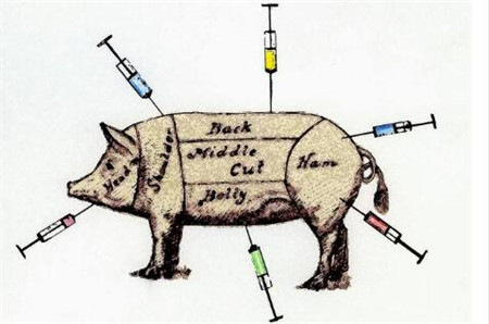 猪场技术，养猪人你会打针吗？这5点应该注意