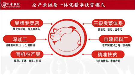 尹平安：“三高三全”循环农业，助力养猪人年入50万