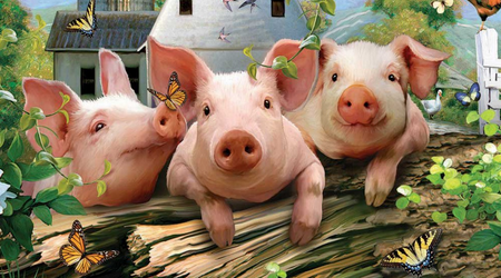 根据中国养猪网数据监测，2018年1月8日的平均生猪价格约是7.69元/斤，早已经过了15元关口，较于昨天上涨了0.09元/斤。