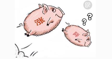 目前，全国瘦肉型猪的出栏均价已经涨至15.26元/公斤，猪价继续上涨的空间非常有限，建议广大养猪人不要去赌行情，适时适重出栏为宜。