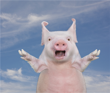 江西省养猪行业协会成立25周年