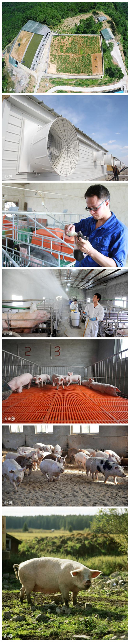 猪场消毒池的标准图片图片