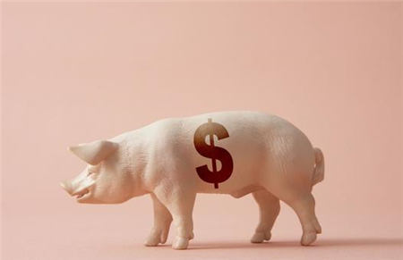 还记得1月中旬开始下跌的时候，许多分析师表示，猪价2月会涨。根据中国养猪网猪价系统显示，外三元生猪价格今日下跌0.24元/公斤，报14.53元。说好2月要涨的!