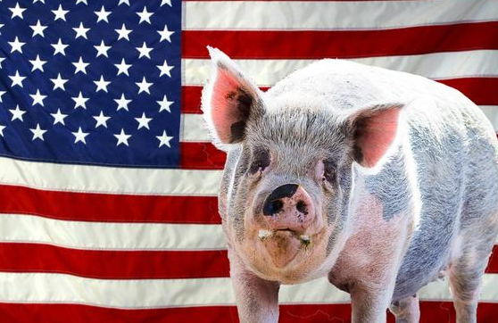 比如，数月，中国和美国的２０多家企业签署了从美国进口１２５３万吨大豆和３７１吨猪肉及牛肉，进口金额总值达50.12亿美元的合同。