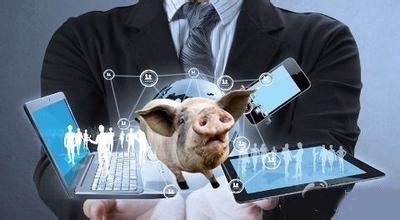 养猪业处于变革的时代，这些互联网要素养猪人了解过吗