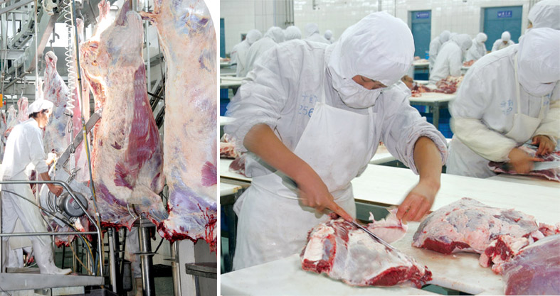 26家生猪定点屠宰企业未达到标准化建设标准，按照有关规定取消其生猪定点屠宰资格。