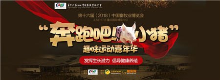 第十六届（2018）中国畜牧业博览会之“奔跑吧！小猪！”趣味运动嘉年华（第一轮）