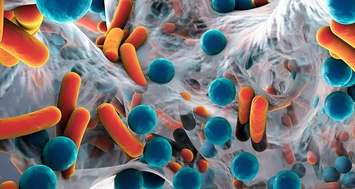 在Xixi的文章中提到，抗生素提高生长效率的三大主要作用机制包括：1. 杀菌，预防疾病。2. 调节肠道微生物结构；3. 促进营养消化吸收。