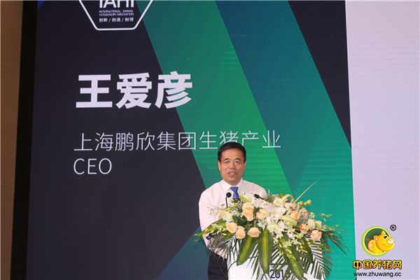 上海鹏欣集团生猪产业CEO王爱彦先生分享《提高猪场经济效益的关键控制点》主题报告