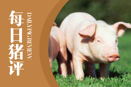 9月22日猪评：猪价陷入“进退两难”境地，养殖户要保持清醒！