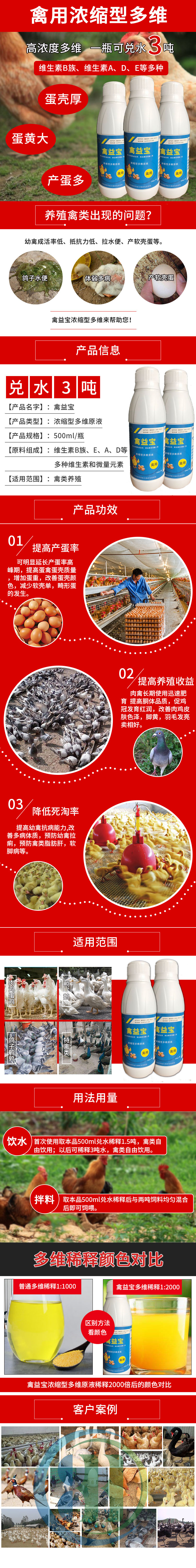 养殖珍珠鸡用禽用多维禽益宝完善体型提高免疫力