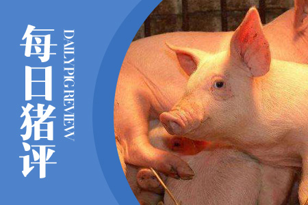 10月29日猪评：猪肉价格与生猪出栏量“冰火两重天”，作何原因？