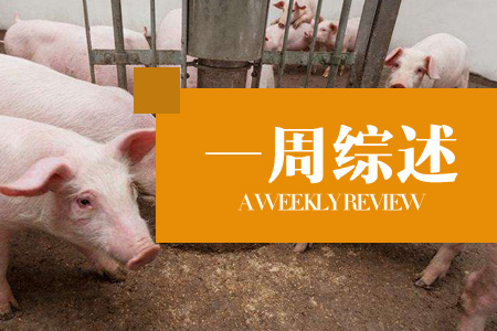 未检疫生猪占据市场，违规操作成常态化？（45周综述）