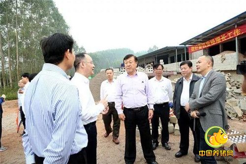 农业农村部副部长于康震到贵港调研并肯定“铁桶猪场”
