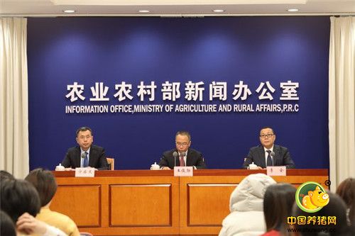农业农村部就11月份生猪生产形势有关情况 举行例行新闻发布会