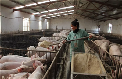 猪肉价格从高点回落 2月北京CPI同比涨3.6%！