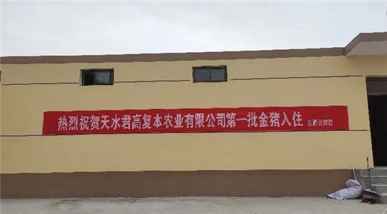 4月18日，京鹏环宇畜牧合作打造的唐人神天水君高复本农业有限公司第一批生猪入场。