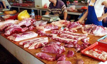 秦英林：让河南成为全国肉食品核心区