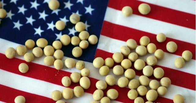美国大豆仍正常进口，并未被停止，呼吁同时也需提升自身大豆质量