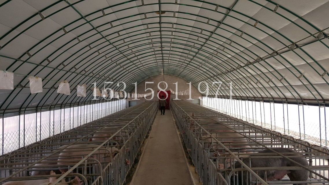 厂家专业生产养猪大棚 养猪设备 母猪产床 围栏等设备