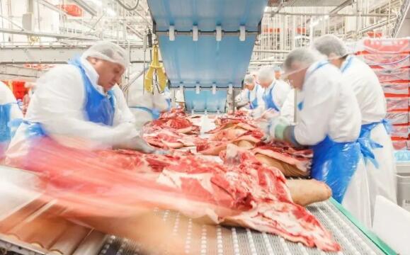 德国最大肉企牵手德康 在华有何布局？