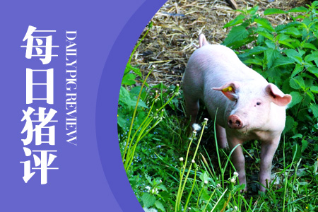 7月18日猪评：猪市行情稳跌，发改委下达45.5亿支持生猪养殖！