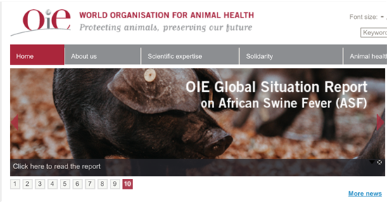 世界动物卫生组织：非洲猪瘟致使亚洲6733791头猪死亡