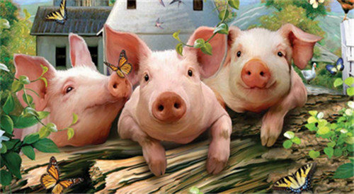 广东猪价连跌，年底或将实现生猪复产目标任务？