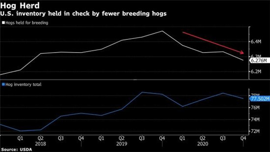 美国生猪饲养数量或三年来首降 肉价低迷且明年出口前景看淡