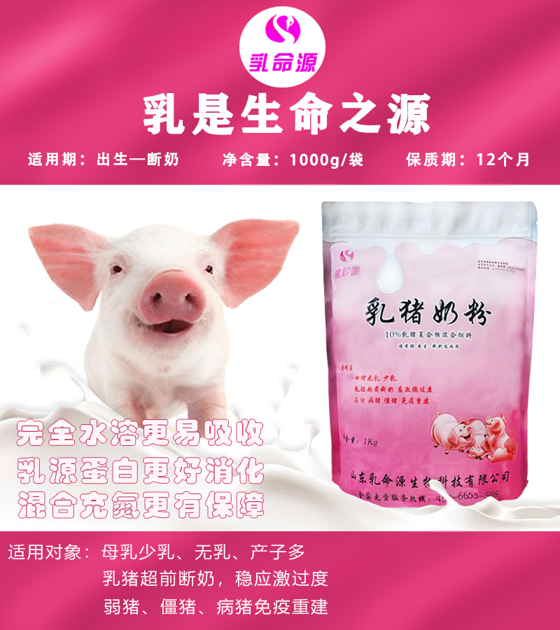 使用乳命源乳猪奶粉对小猪健康的重要性