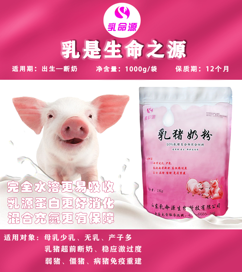 乳命源乳猪奶粉可提高小猪毛发和皮肤健康使猪皮红毛亮