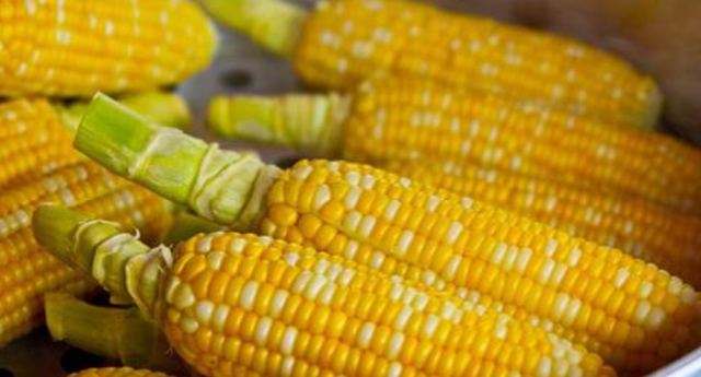 玉米价格上涨还能持续多久？