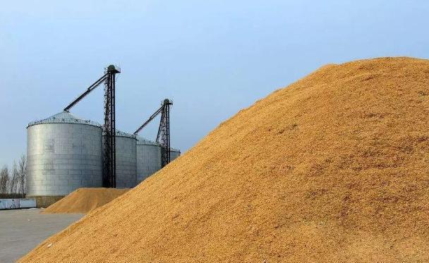 玉米价格再跌？3大坏消息“接踵而至”！3月，粮商还挺价吗？