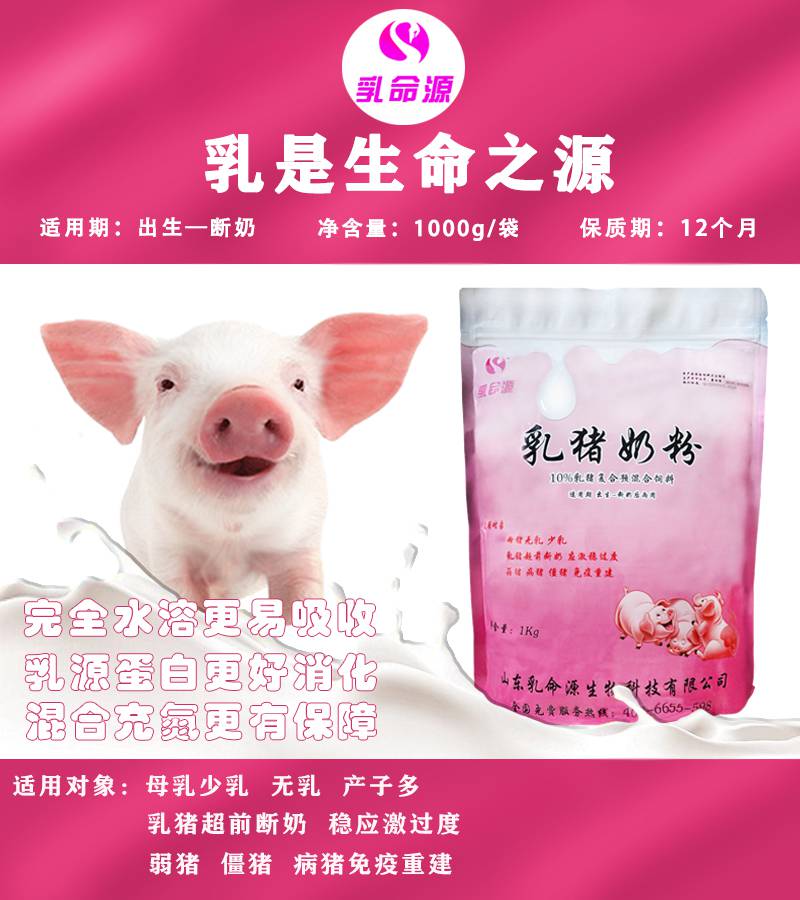 母猪产后使用乳猪奶粉可提高免疫力