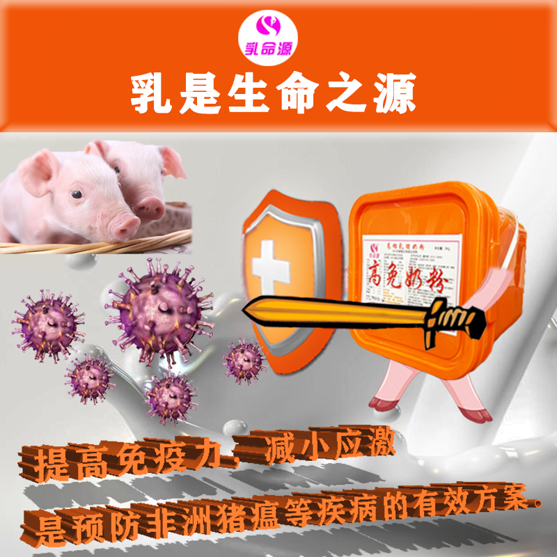 猪场小猪增强免疫力使用高免奶粉