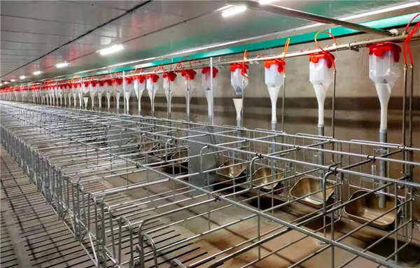 “龙头企业+养殖农场”的1211生猪代养模式
