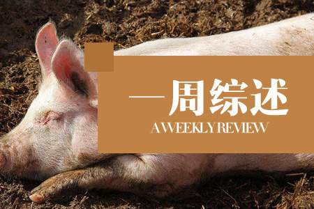 猪肉消费积极性下降，猪价又开始下跌了？？（第47周综述）