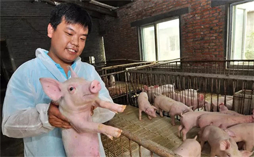 1月10日：全国农产品批发市场猪肉平均价格为22.84元/公斤
