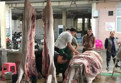 不怕瘦肉精？印度首次允许进口美产猪肉！