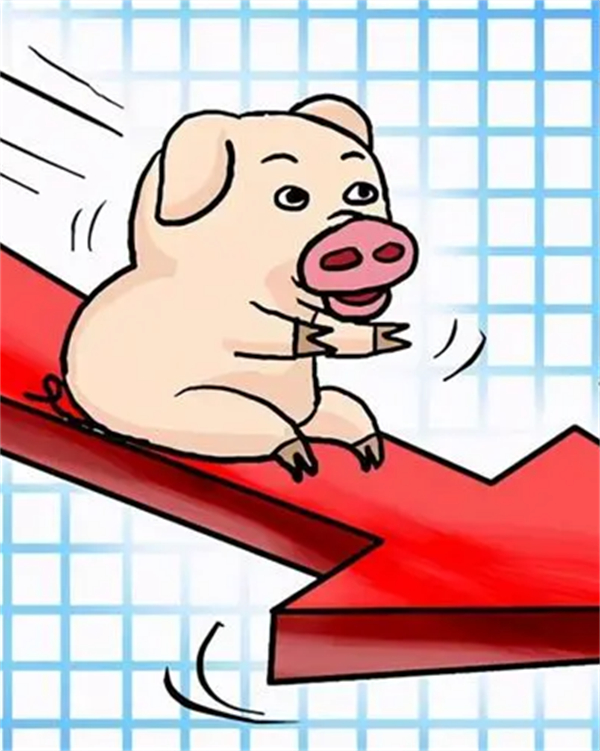 朱增勇：猪价跌幅逐渐收窄，6月份以后，商品猪供给过剩局面有望缓解